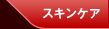 �X�L���P�A