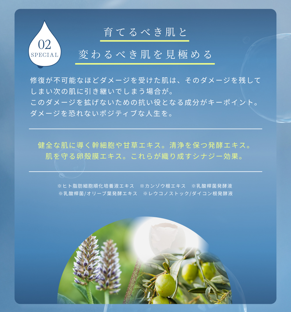 nPS�X�e�� �V�[�g�}�X�N