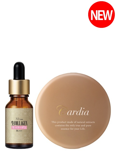 [WEB]�t�̂���c�������x�[�X�Z�b�g