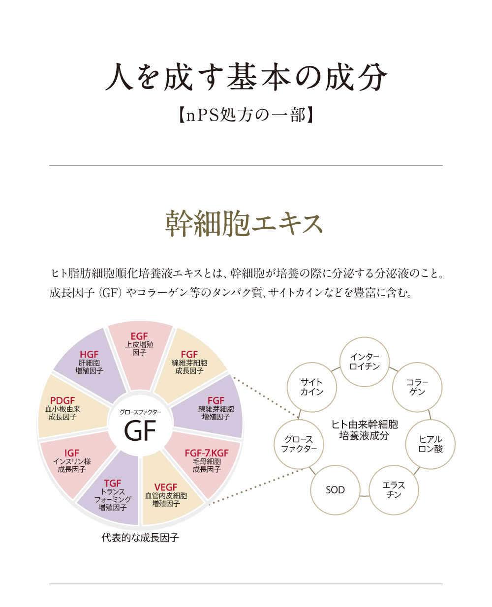 �{���͔����ؖ�����