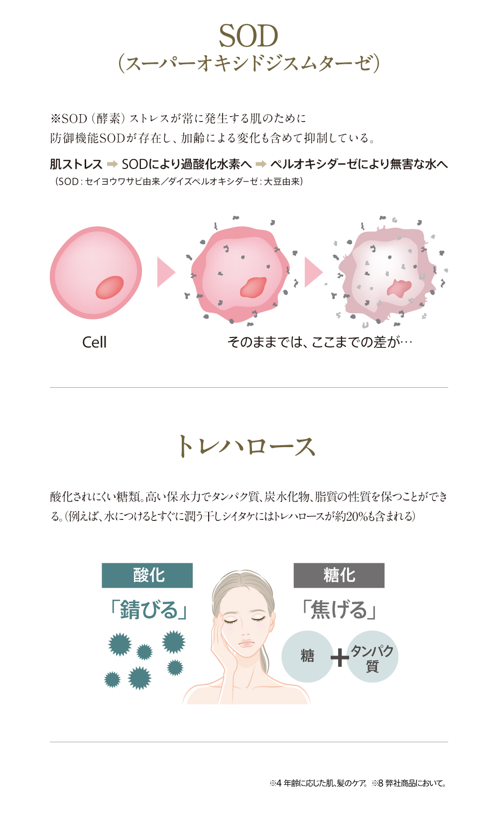 �{���͔����ؖ�����