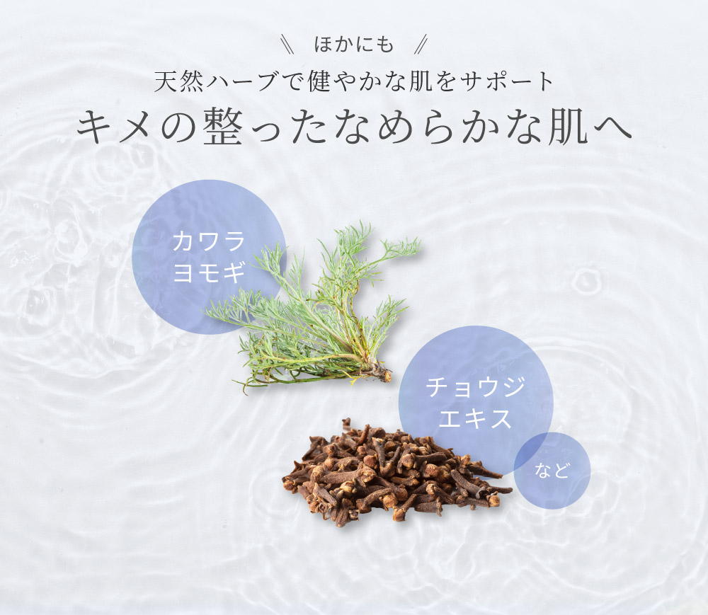 �i�C���z���C�g