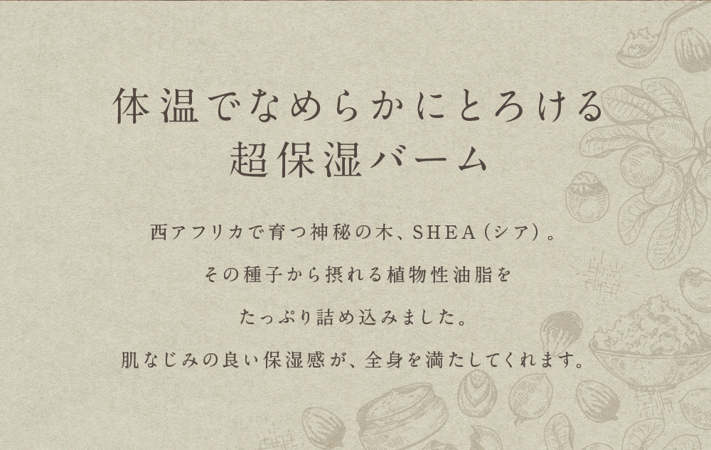 �V�A�o�^�[