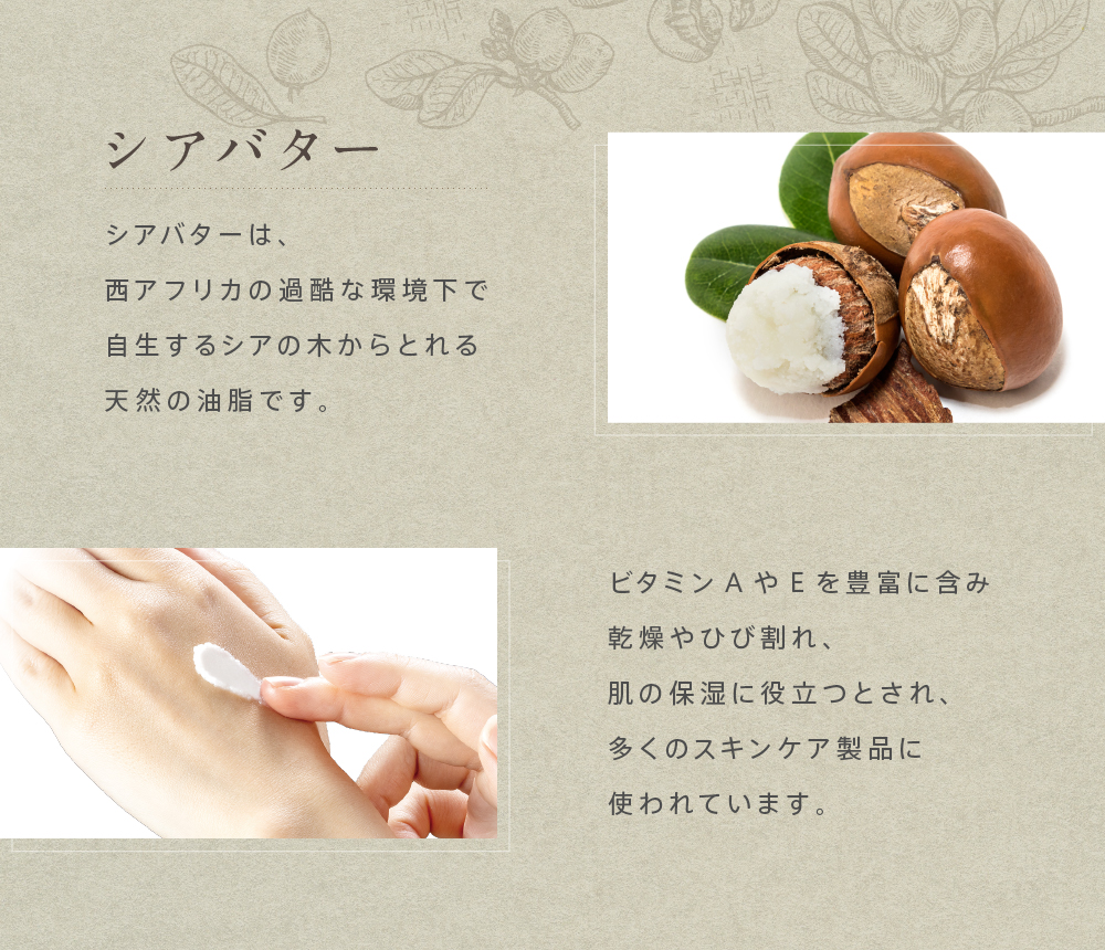 �V�A�o�^�[