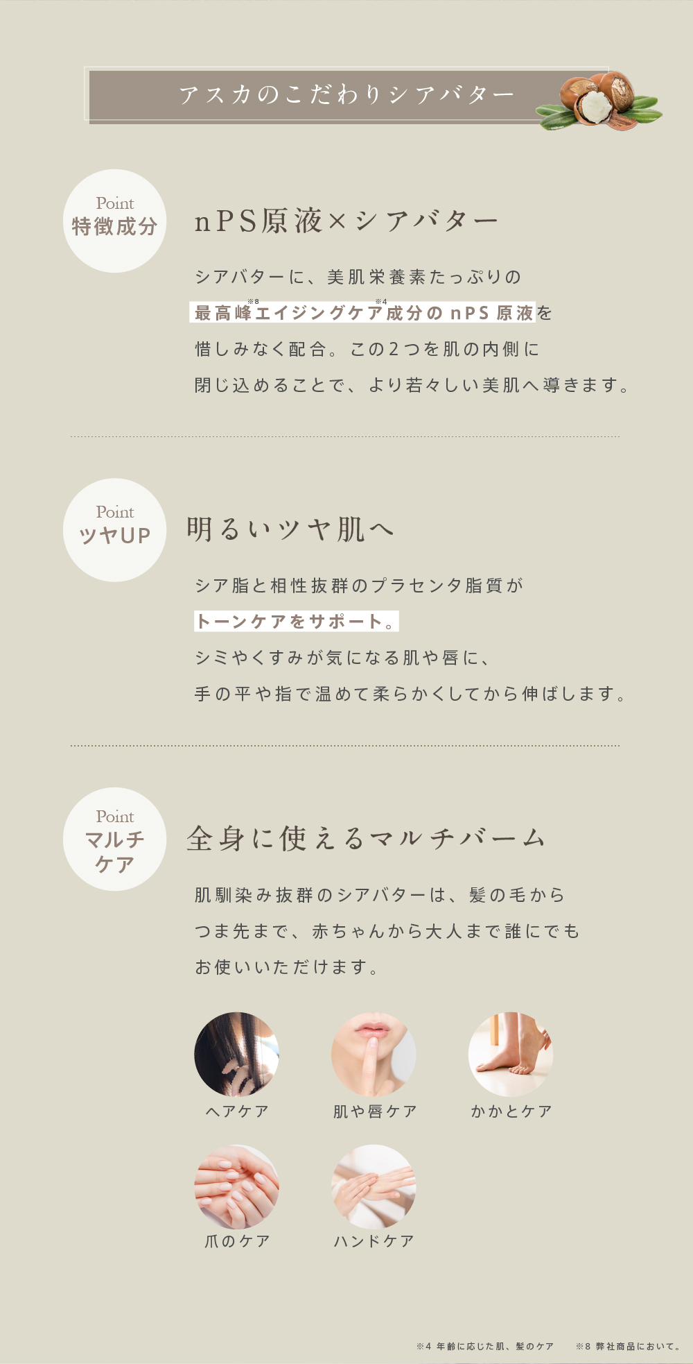 �V�A�o�^�[