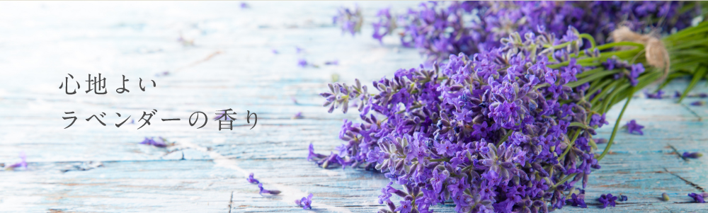 �V�A�o�^�[