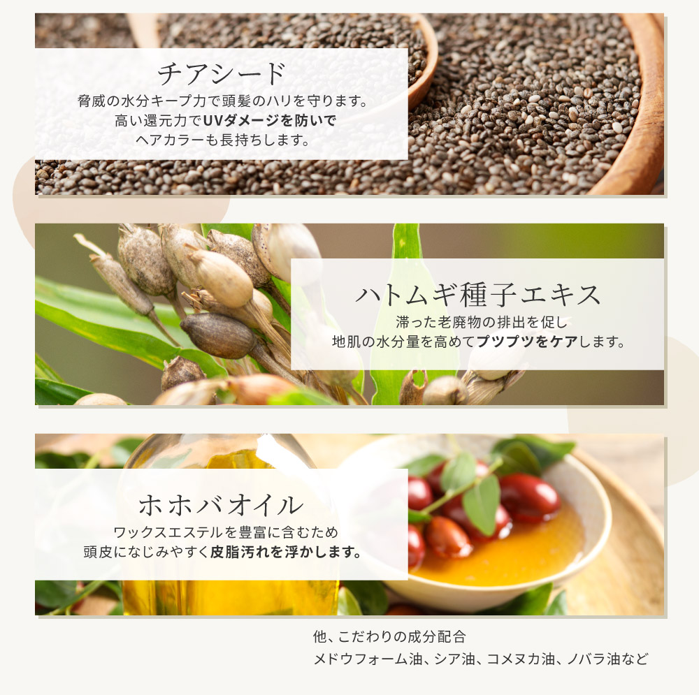 �i�C���̓H �X�J���v�w�A�I�C��