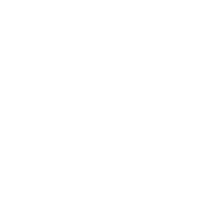 �{���|�C���g2�{