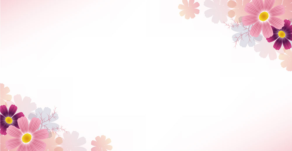 WEB���肨���ȃZ�b�g�X�V��