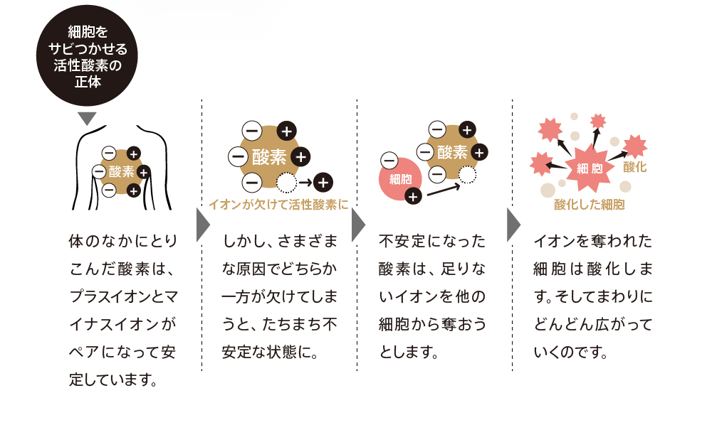 女は紫外線による活性酸素でサビていく 美肌 乾燥肌 敏感肌の天然化粧品 天然サプリはアスカ