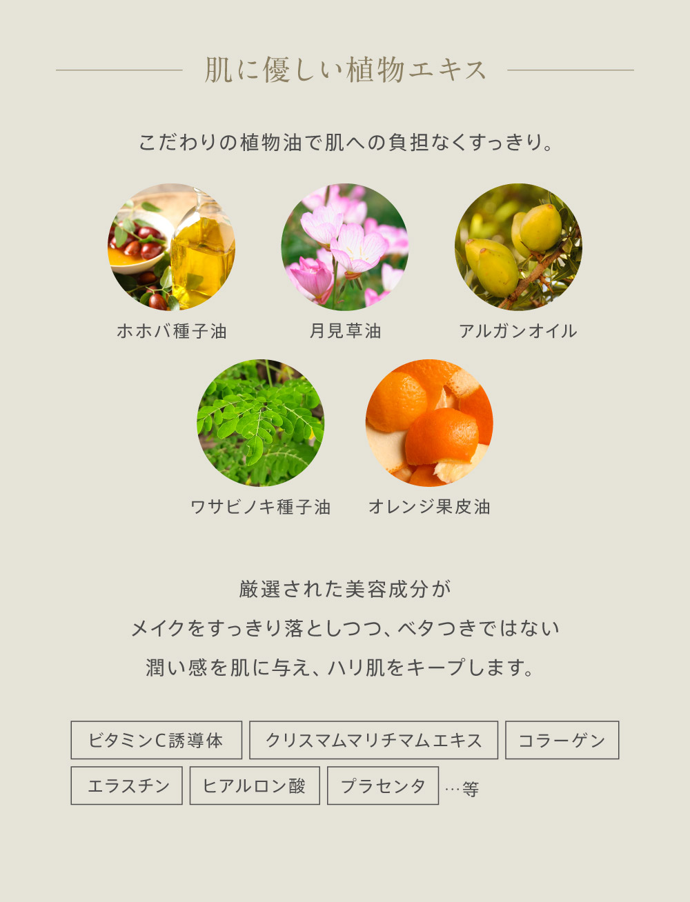 HUMANISM �N�����W���O