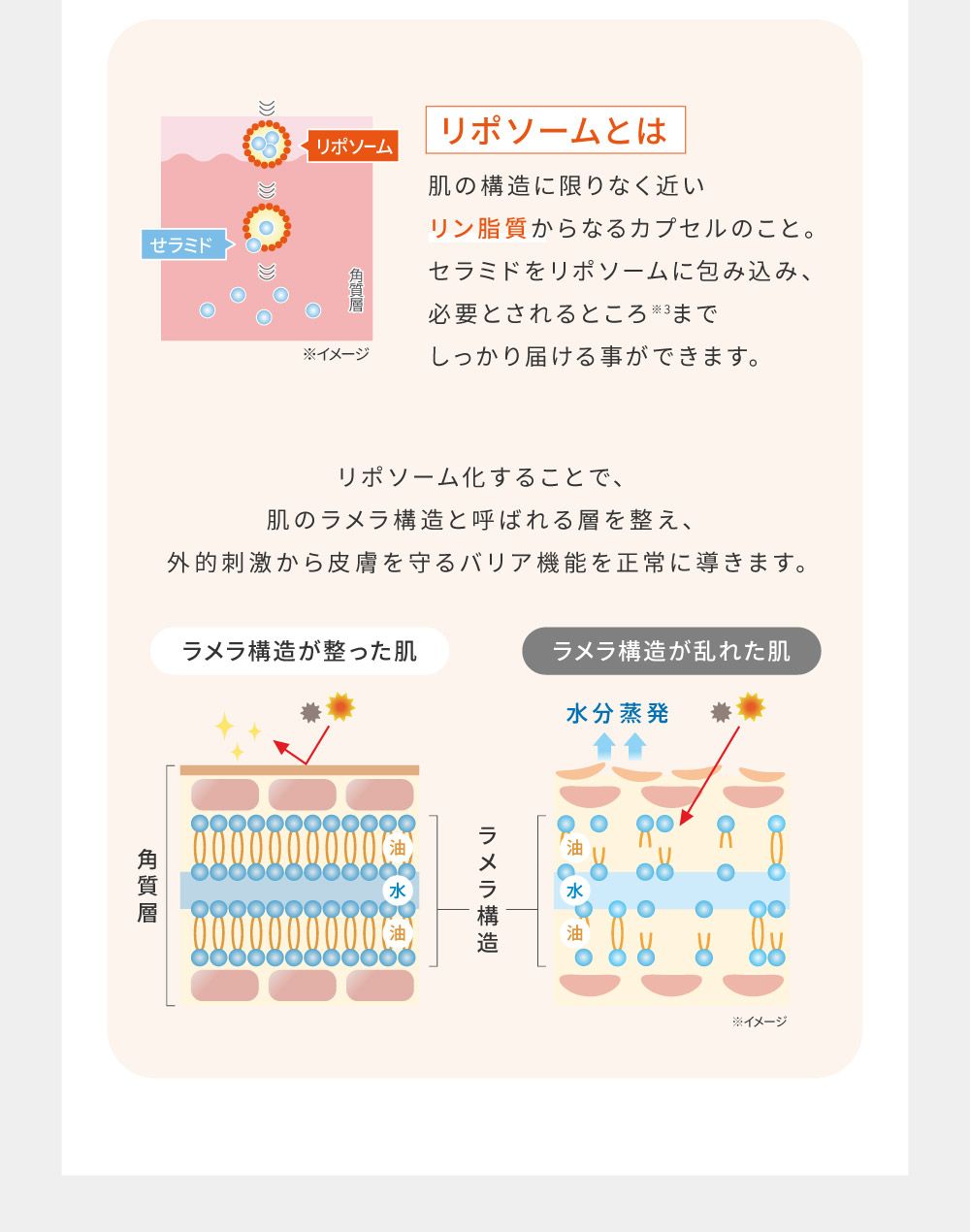 �}���`�A�b�v�o�[��