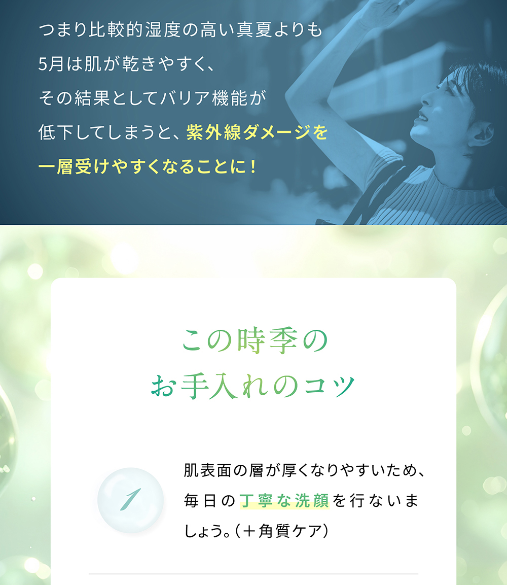 ���̎��G�̂������̃R�c