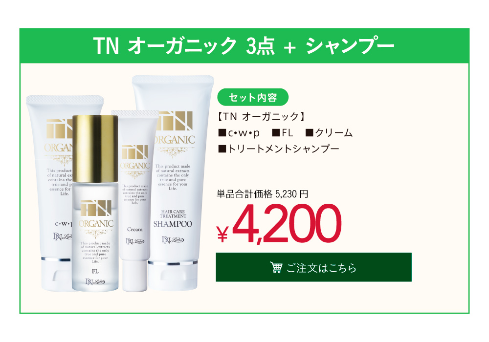 TN ����Ư�