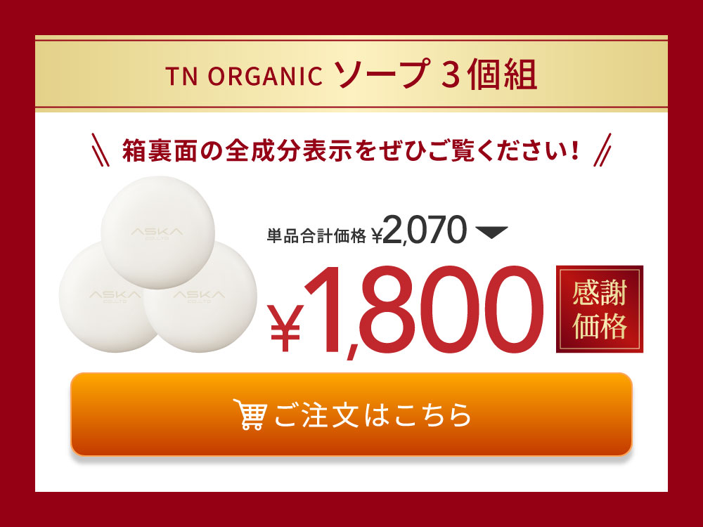 TN ����Ư����� 3�g
