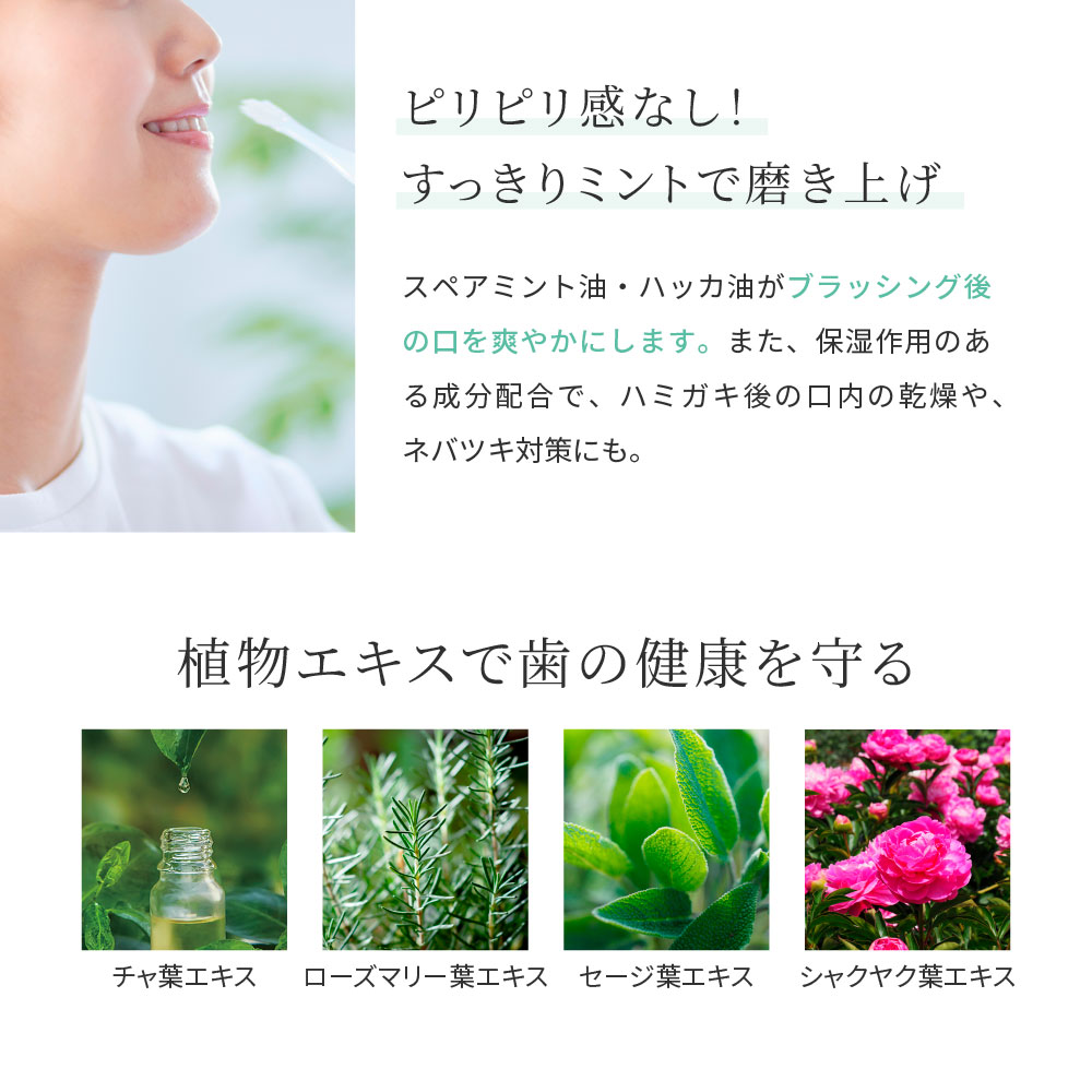 �˂莕���� LAVOOL