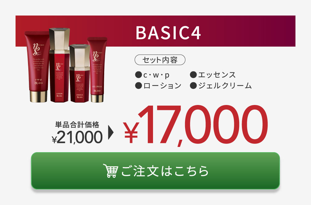 ƭ����nPS BASIC4