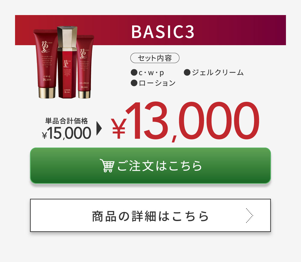 ƭ����nPS BASIC3