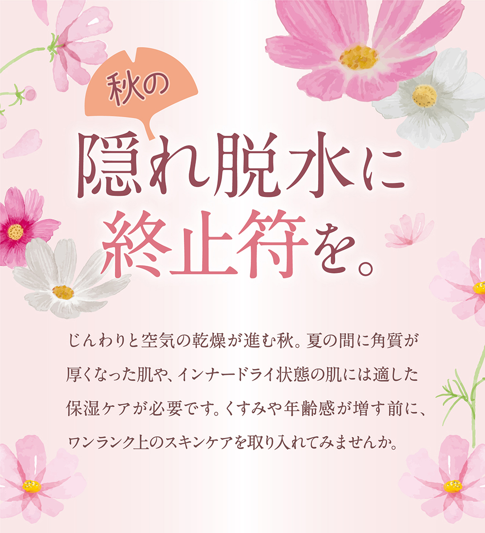 �H�̉B��E���ɏI�~�����B