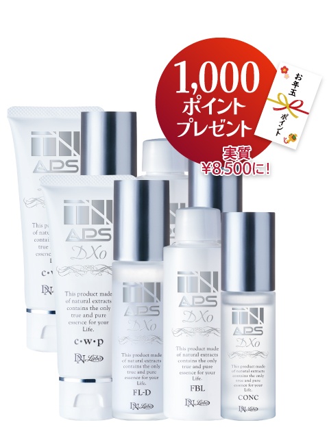 APS�t���Z�b�gW�_�u��