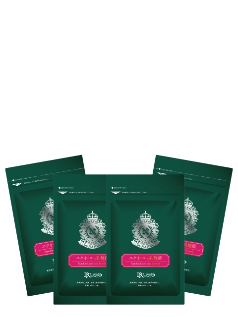 DN �G�N�I�[��in���_�� 4�ܑg